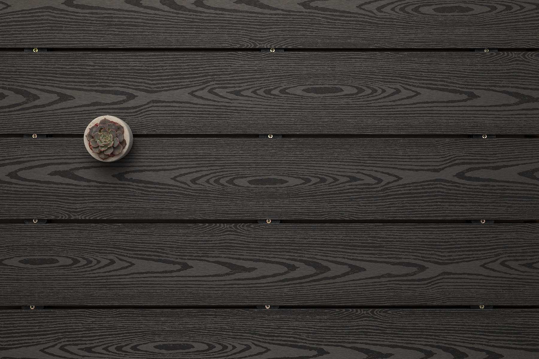 Deck composite gris carbón con suculenta